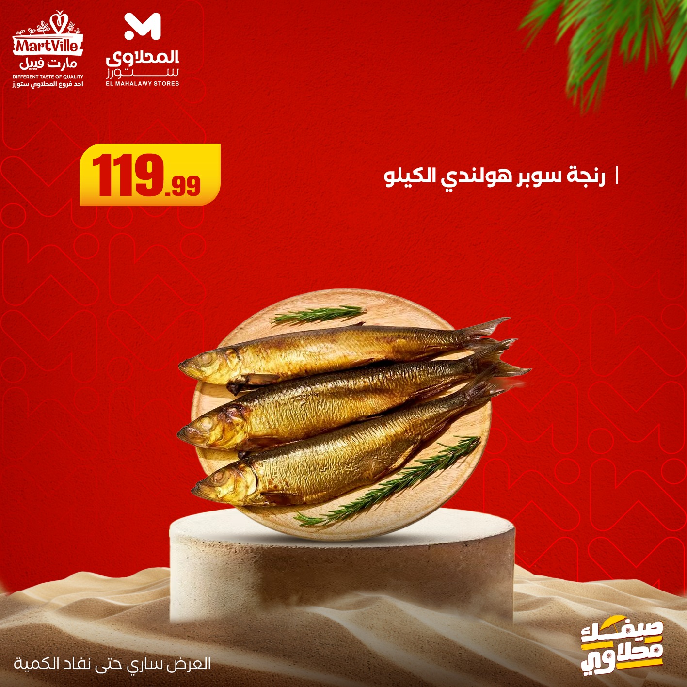 el-mahallawy offers from 13jul to 3jun 2025 عروض المحلاوي من 13 يوليو حتى 3 يونيو 2025 صفحة رقم 20